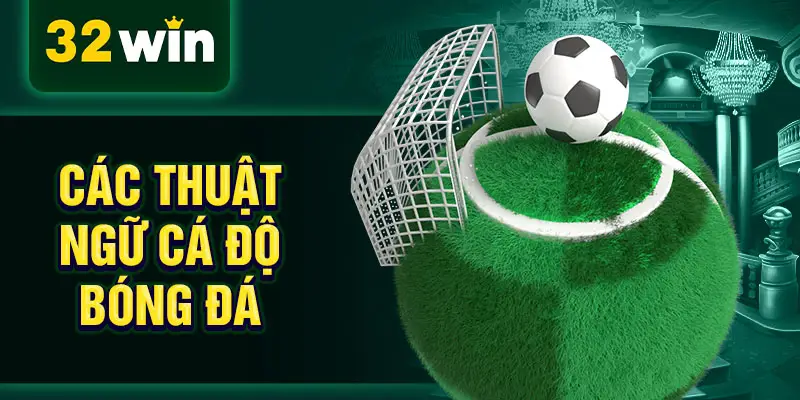 Các thuật ngữ cá độ bóng đá