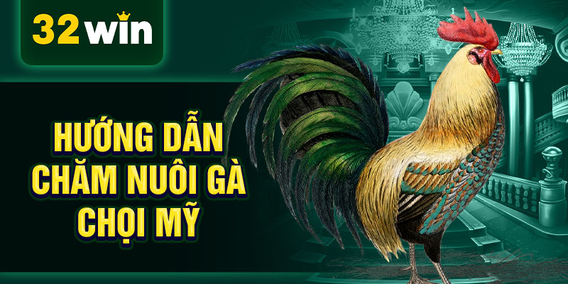 Hướng dẫn chăm nuôi gà chọi Mỹ