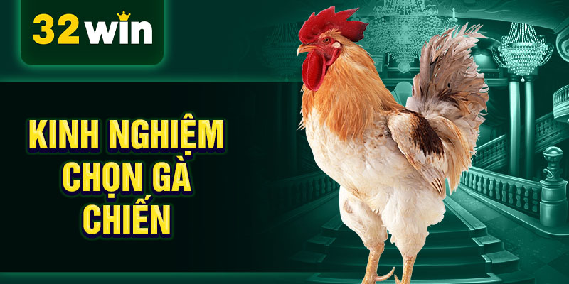 Kinh nghiệm chọn gà chiến