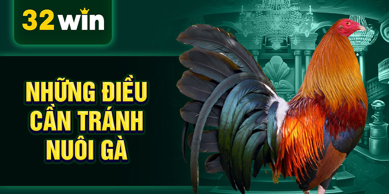 Những điều cần tránh nuôi gà