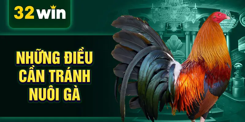 Những điều cần tránh nuôi gà