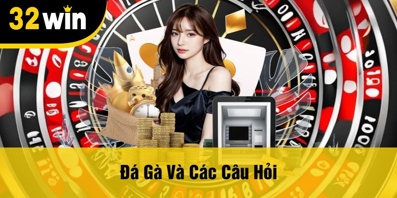Đá Gà Và Các Câu Hỏi